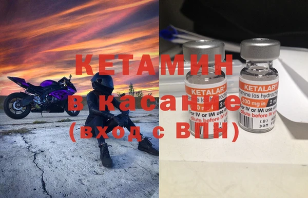 шишки Бабаево